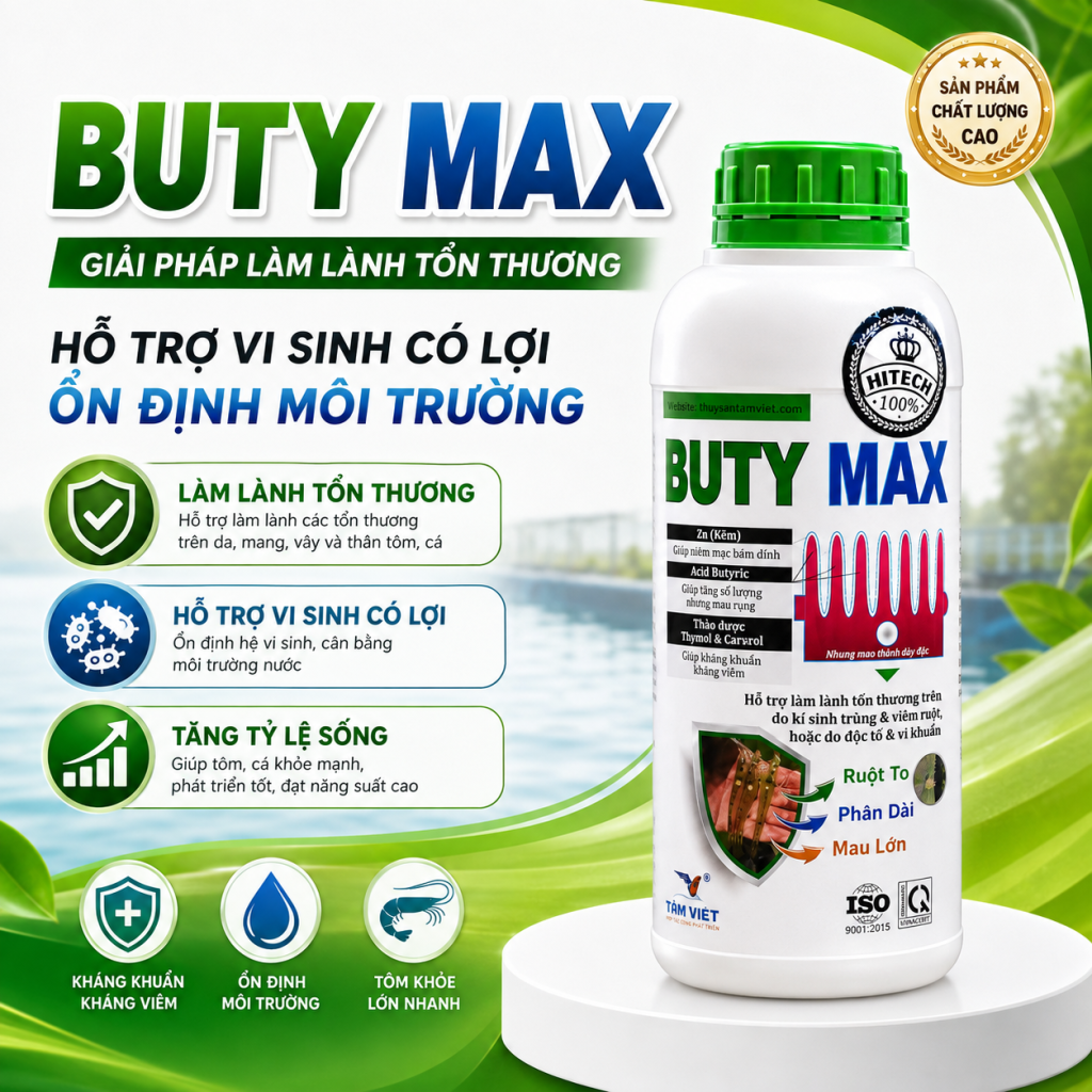 BUTY MAX NEW