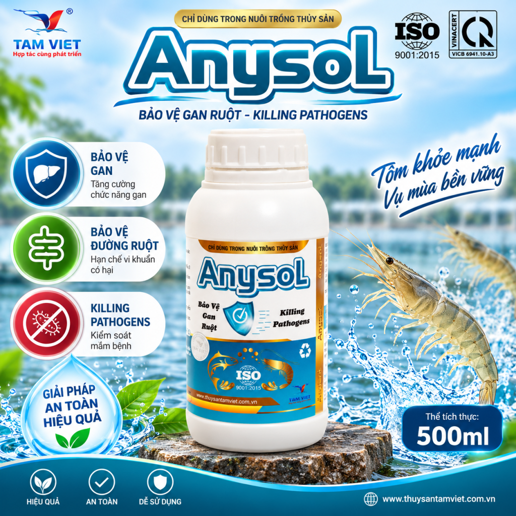ANYSOL