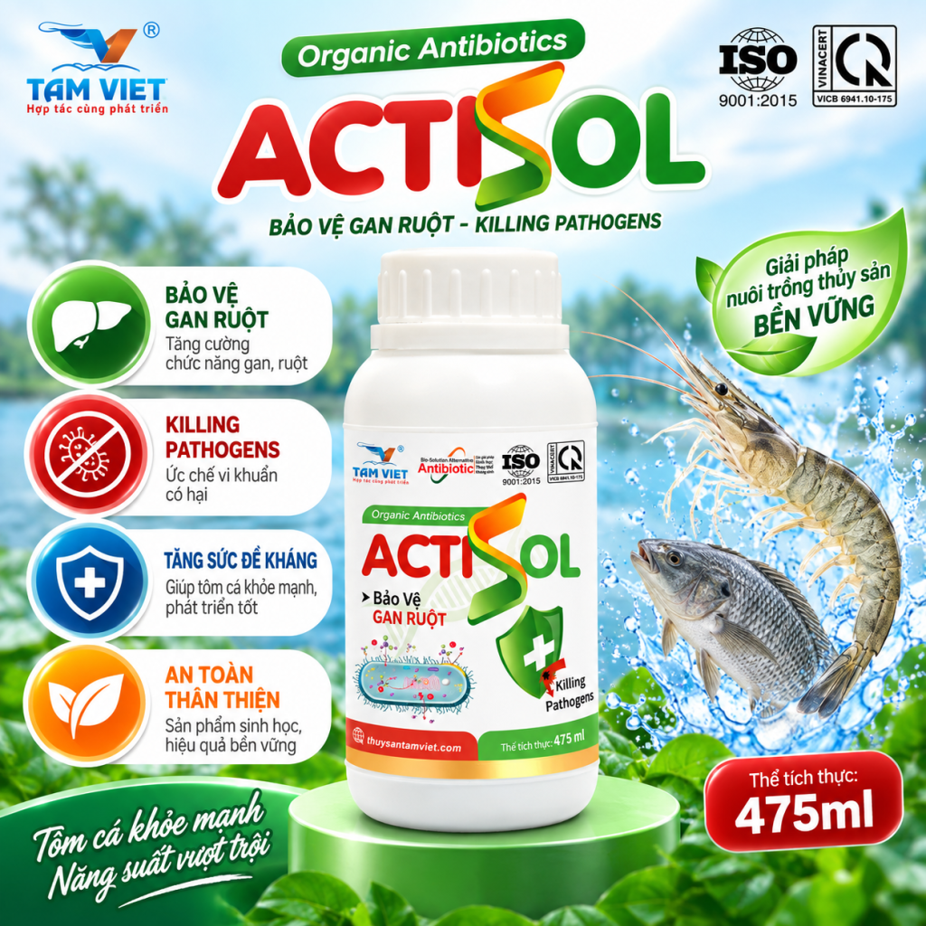 ACTISOL
