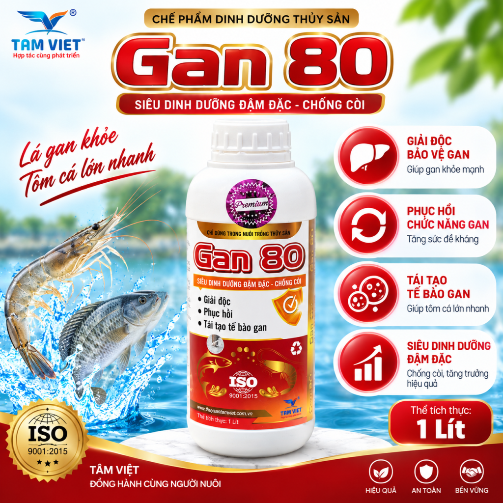 GAN 80