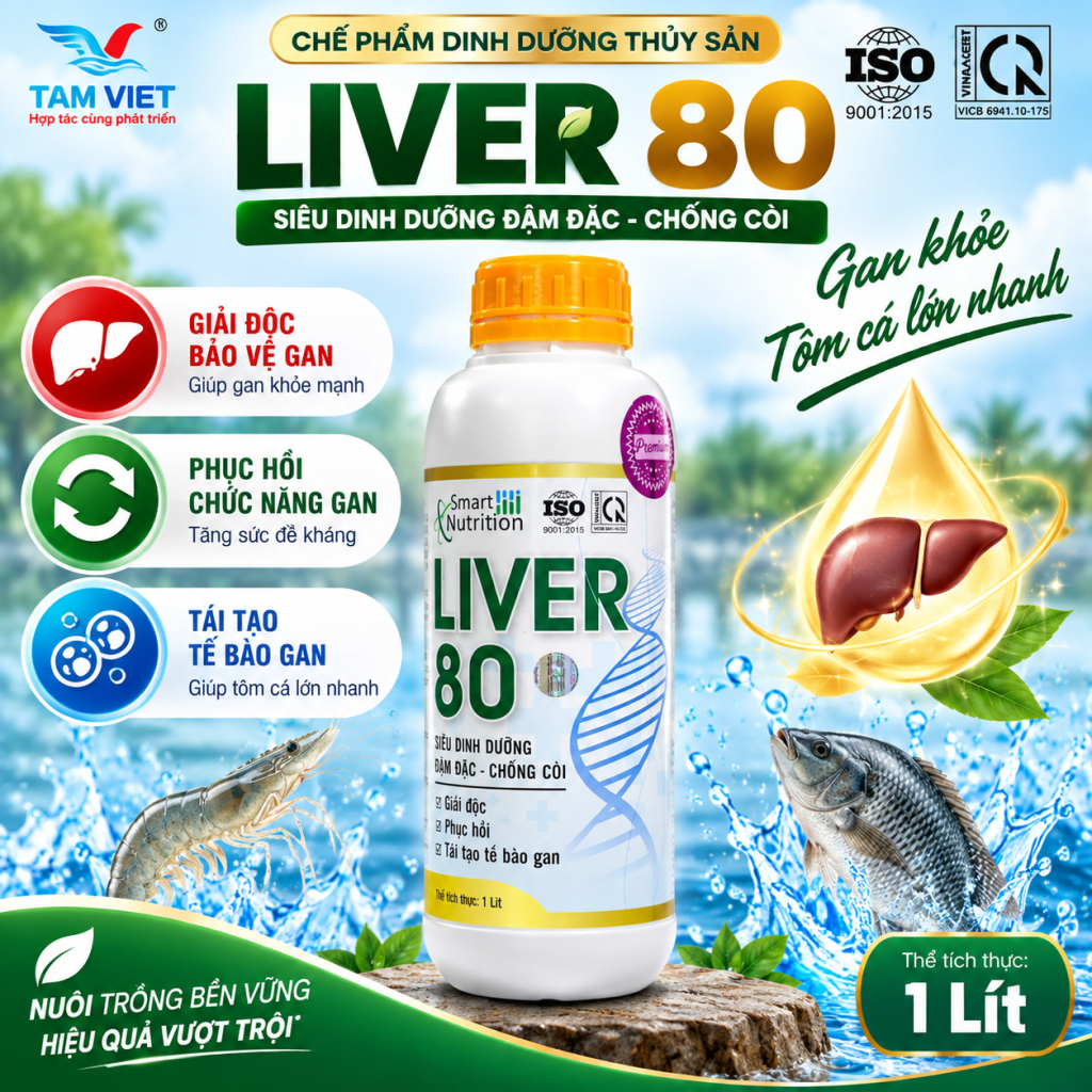 LIVER 80