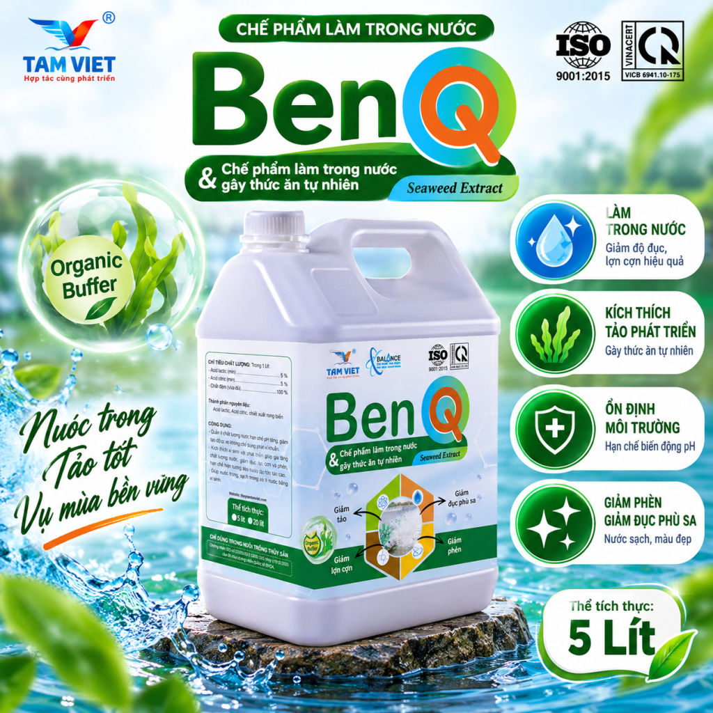BEN Q