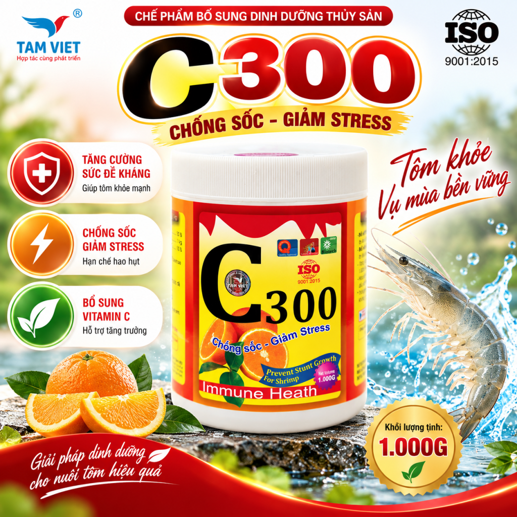 C 300