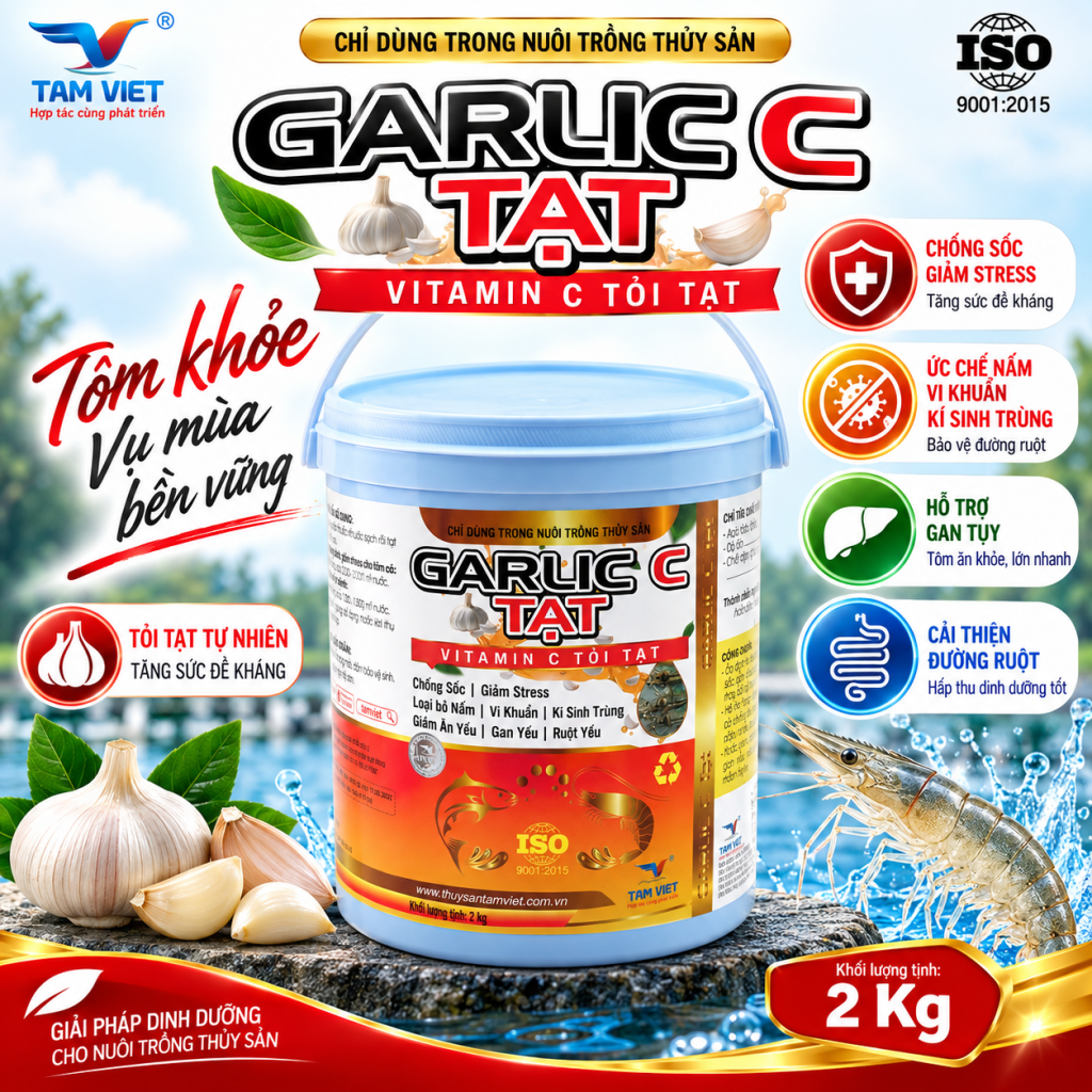 GARLIC C (C TỎI)