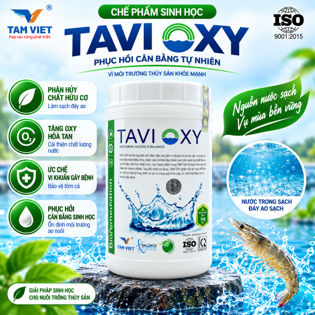 TAVI OXY
