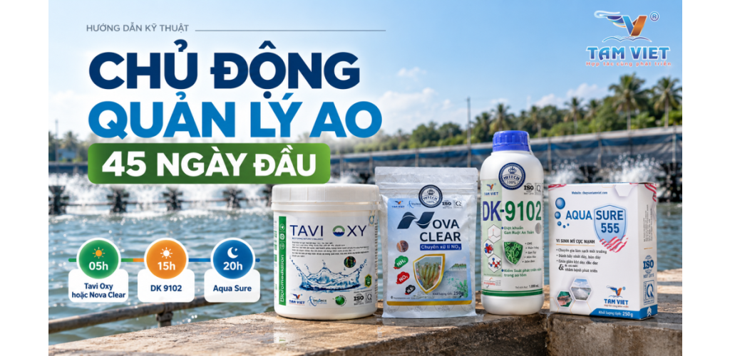 GIẢI PHÁP KIỂM SOÁT MÔI TRƯỜNG, KIỂM SOÁT KHUẨN, NẤM, KÝ SINH TRÙNG GIAI ĐOẠN 1-45 NGÀY TUỔI, GIÚP HẠN CHẾ PHỤ THUỘC KHÁNG SINH VÀ HOÁ CHẤT, GIA TĂNG SỨC CHỐNG CHỊU CỦA ĐÀN TÔM TRONG MÙA MƯA BÃO