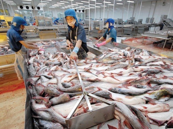 Trung Quốc có nhu cầu nhập khẩu trở lại nhưng lại muốn ép giá thủy sản Việt Trung Quốc có nhu cầu nhập khẩu trở lại nhưng lại muốn ép giá thủy sản Việt
