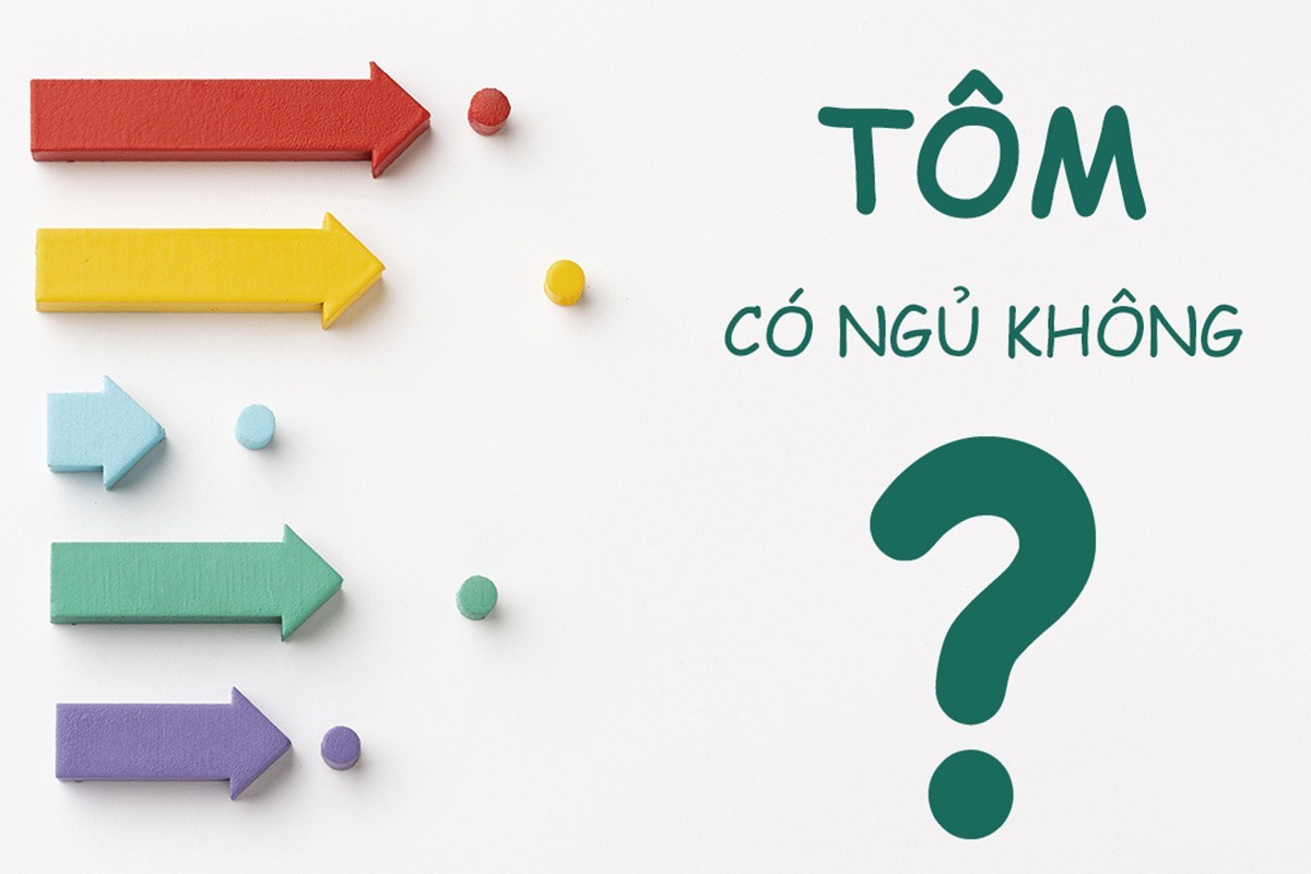 Tôm có ngủ không?