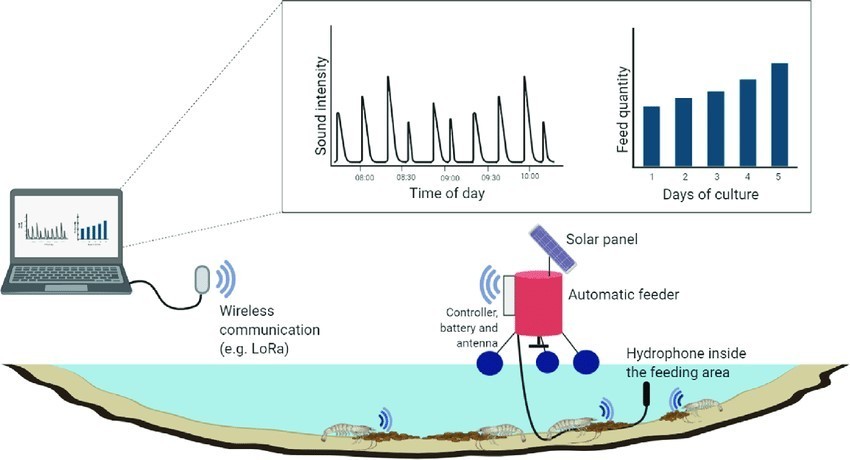Một số công nghệ trong cho ăn và theo dõi hành vi ăn của tôm