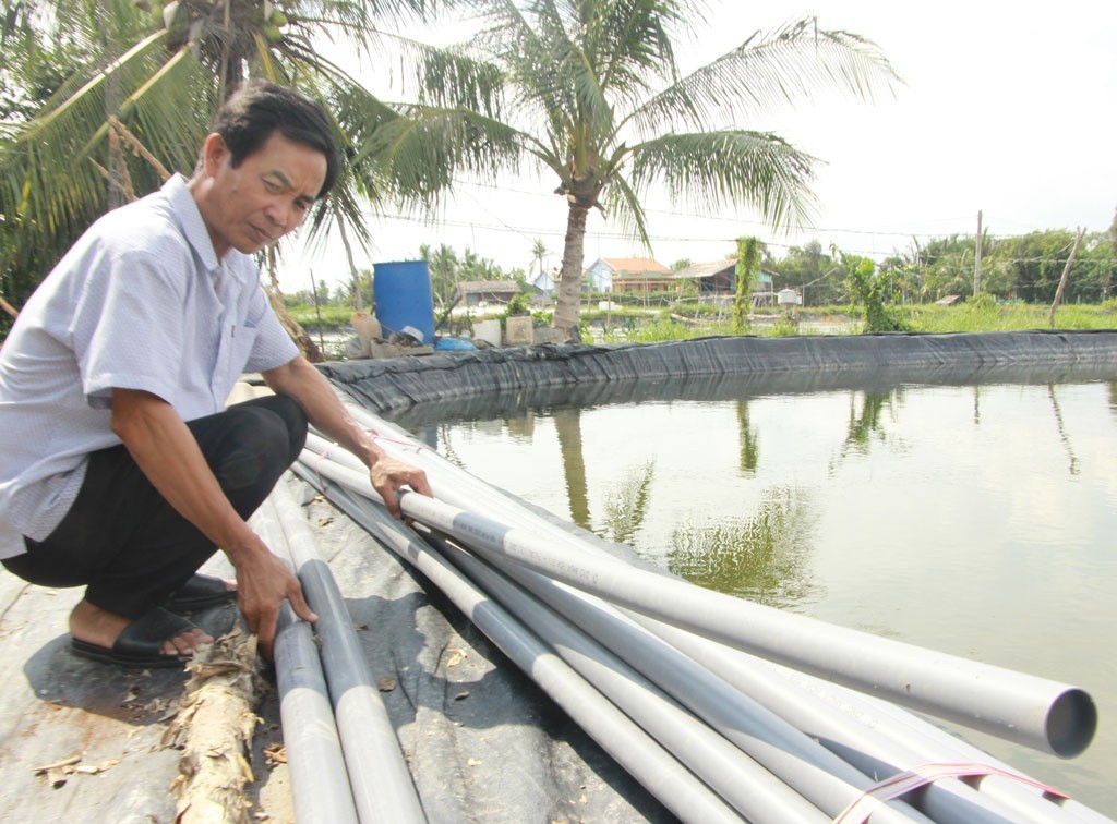 Long An: Khởi động mô hình nuôi tôm ứng dụng công nghệ cao