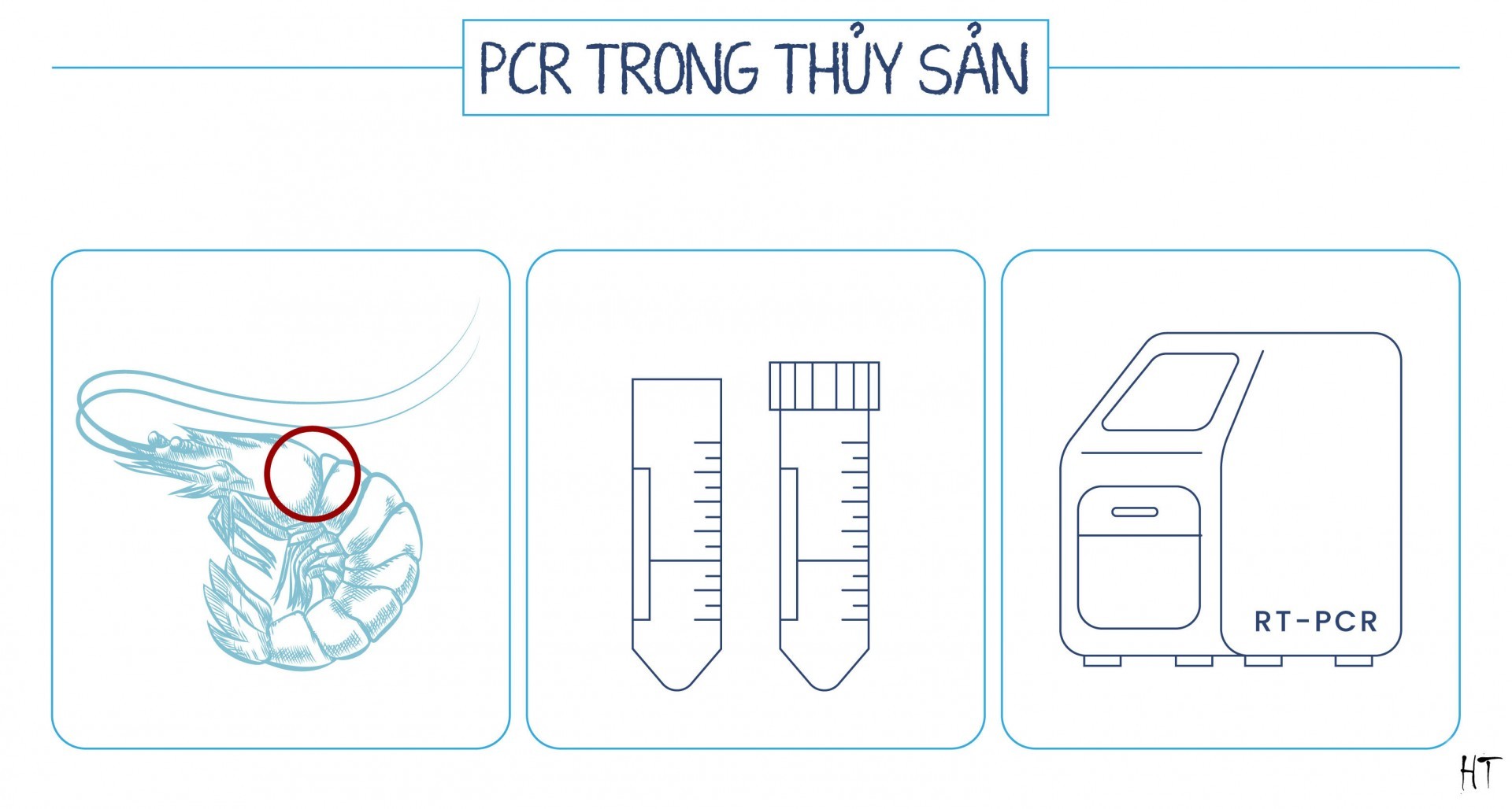 Kỹ thuật PCR trong thủy sản